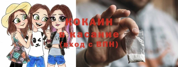 соль ск Абаза