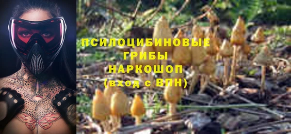 спиды Абдулино