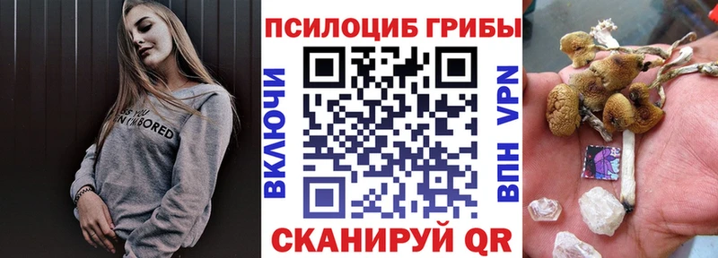 что такое   Новоалександровск  Псилоцибиновые грибы Psilocybine cubensis 