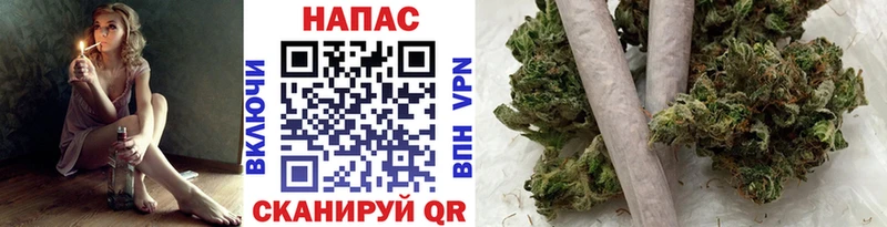 Бошки марихуана тримм  кракен как войти  Новоалександровск  как найти закладки 